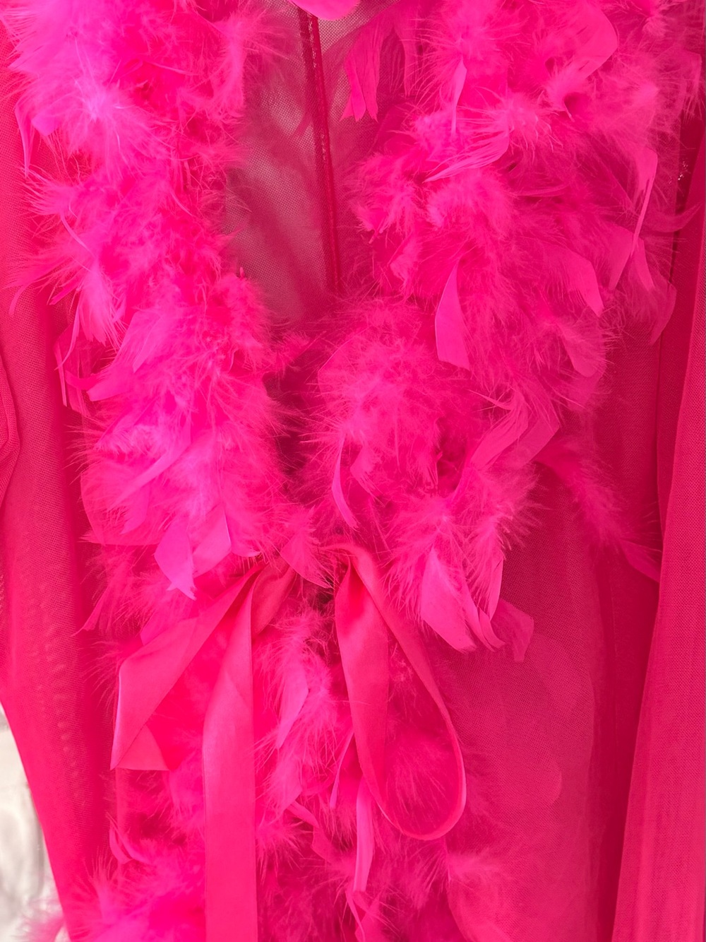 Hot Pink Feather Trim Sheer Robe with Satin Tie - Picture 8 of 12